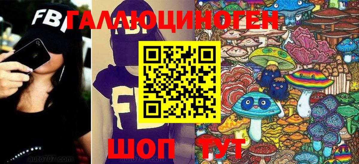 где найти   Галлюциногенные грибы прущие грибы  Вход с VPN  Петрозаводск 
